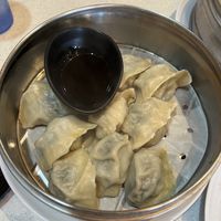 veggie dumplings  at Tasty Noodle House in San Diego
