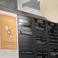 Vegan flavors  at Bright Ice in Tampa