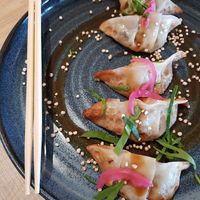 Gyozas at El Curry Verde in Hondarribia