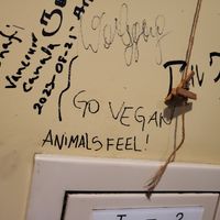  at Jirokichi - / 次郎吉 in Hiroshima