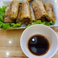 Vegan Fried Spring Rolls at Bahn Mi Tron - CircleT in Ninh Binh