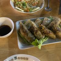 Good fried vegetables spring rolls   at Bahn Mi Tron - CircleT in Ninh Binh