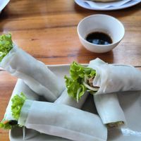 Fresh rolls with tofu at Bahn Mi Tron - CircleT in Ninh Binh