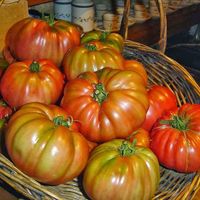 Productos ecológicos de primera calidad at Taberna O Lagar en Eiras in O Rosal