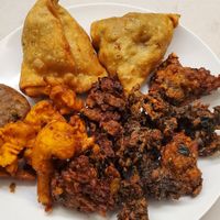 Veg Platter plated at home at Masala Bay in Littleton