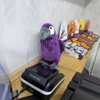 Mascot at Oakberry - Valencia in Barcelona