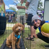 Meeting puppies and drinking fresh coconut water at Vegan Events Orlando in Orlando