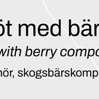  at Destination Gotland Ferry in Visby