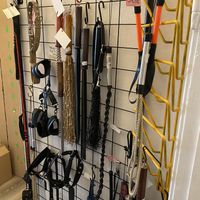 Floggers   at Other Nature in Berlin