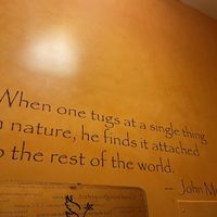 Truth at Life Alive Organic Cafe in Salem