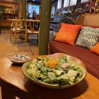 Peaceful at Life Alive Organic Cafe in Salem