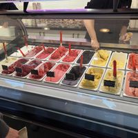 Vegan cabinet  at Luna's Gelateria in Taupo