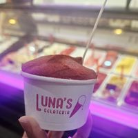 Plum Sorbet in a Kid's Cup at Luna's Gelateria in Taupo