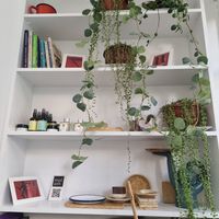 Veganteca e mini mercearia cosmética at theno  in Denizli