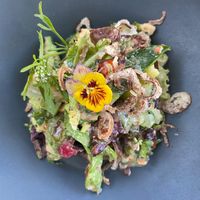 Salad  at The Acorn in Vancouver