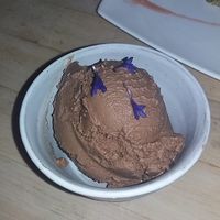 Vegan Chocolate Ice Cream at The Acorn in Vancouver