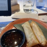 Spring rolls  at UDON - Splau in Barcelona