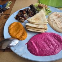 Antipasto siriano grande at Locanda Salus in Bologna