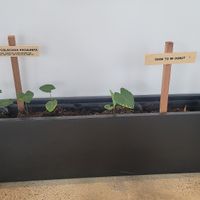  at Holey Grail Donuts - Santa Monica in Santa Monica