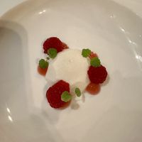 Pannacotta van bergamot en kokos. Framboos met framboos azijn mango sorbet. Rabarber   at Restaurant 1487 in Zevenaar