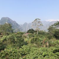   at Green Restaurant in Vang Vieng