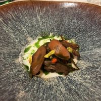   at Cuculia in Florence