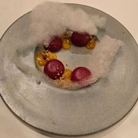  at Cuculia in Florence