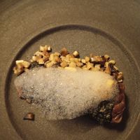  at Cuculia in Florence