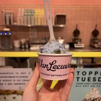 Vegan planet earth - my new fave  at Van Leeuwen Ice Cream in Dallas