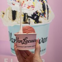Vegan very berry sorbet   at Van Leeuwen Ice Cream in Dallas