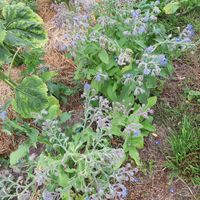  at In Motion in Bertree