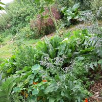  at In Motion in Bertree