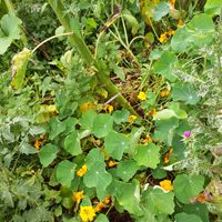  at In Motion in Bertree