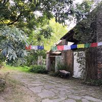 The garden at In Motion in Bertree