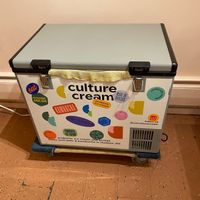 Freezer case for pints to go  at Culture Cream in Hudson