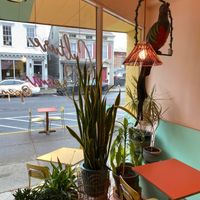 Indoor seating area with plants and a giant art parrot hanging from the ceiling  at Culture Cream in Hudson