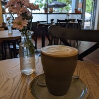 Large oat latte at The Rogue & Rascal in Port Lincoln