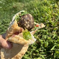 Falafel sandwich  at Amanouz Café in Northampton