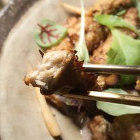 Wok Tossed Mock Chicken Teriyaki Style - close-up at Luna Lu in Sydney