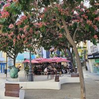 The restaurant. at Sem Horas in Setubal