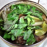 Vegan tom yum was not spicy at all, it was more like a Thai herb soup.  at Drunken Sailors in Koh Lanta