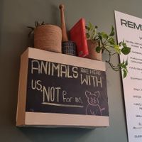 👌 at Remedy Coffee Shop in York