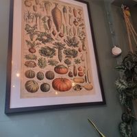  at Remedy Coffee Shop in York