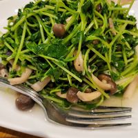  at KUL - DIN by Din Tai Fung (鼎泰丰)  - T2 in Sepang