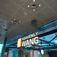  at SIN - Heavenly Wang - T1 Transit in East Singapore