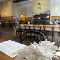   at Frothy Monkey in Birmingham