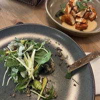   at Vita Rama in Sofia