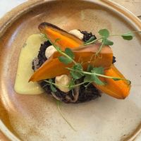 Imperial Harmony at Vita Rama in Sofia