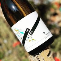 COPA Torontel 2021 at Vegan Wines - Online Store in Gardiner