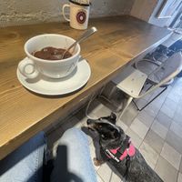   at VegAmazing Doughnuts - Tirso de Molina in Madrid